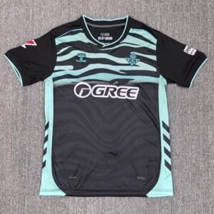 Real Betis 2025-26 Thrid Fan Version